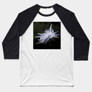 Underwater Nudi Baseball T-Shirt